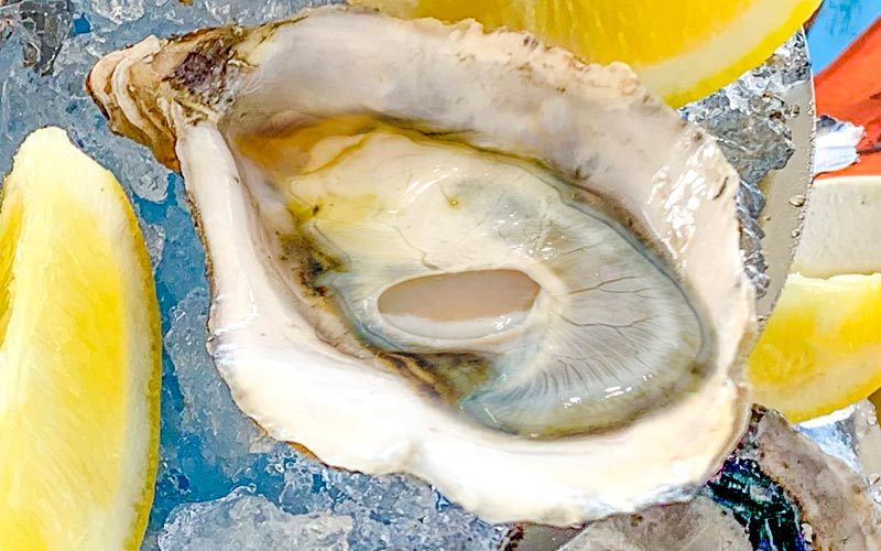 PalmBeach Tropical Restaurant | Concave Oyster from Brittany, caliber 2 | big size (86/120g) renowned oyster (Crassostrea Gigas), produced with totally natural methods in the marine parks of Brittany, France (each)